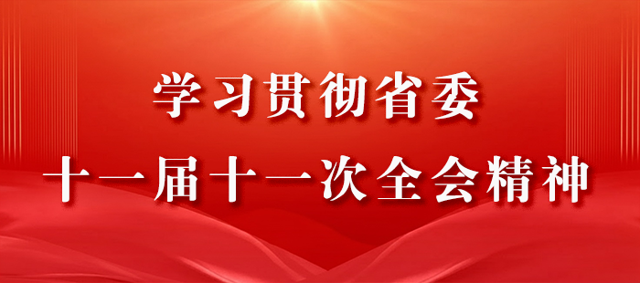 十一屆十一次全會精神